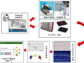 2024年港彩开奖结果，琴瑟调和精选答案落实_ZDJ74.37